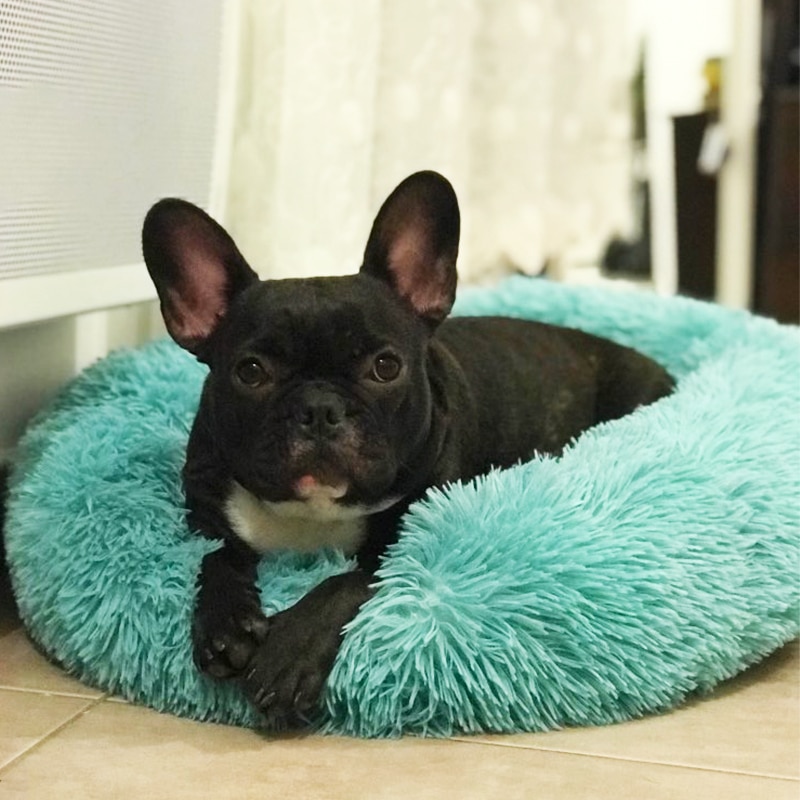 Fluffy Pet Bed Soft Round Pet Bed Fluffy Pet Bed Soft Round Pet Bed