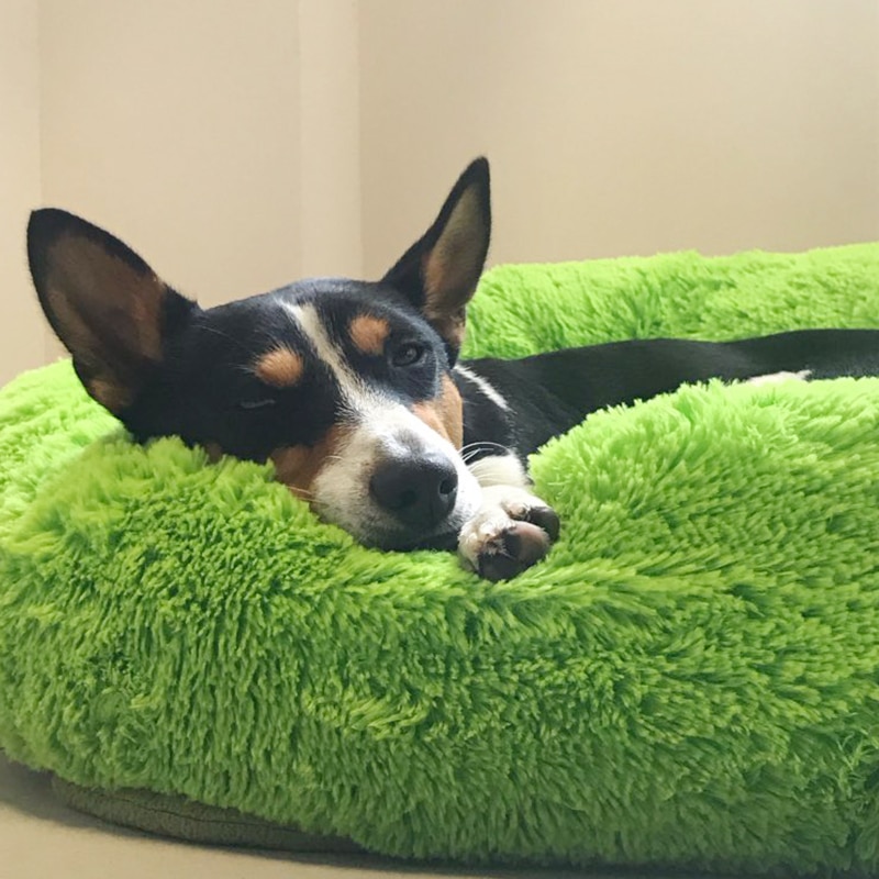 Fluffy Pet Bed Soft Round Pet Bed Fluffy Pet Bed Soft Round Pet Bed