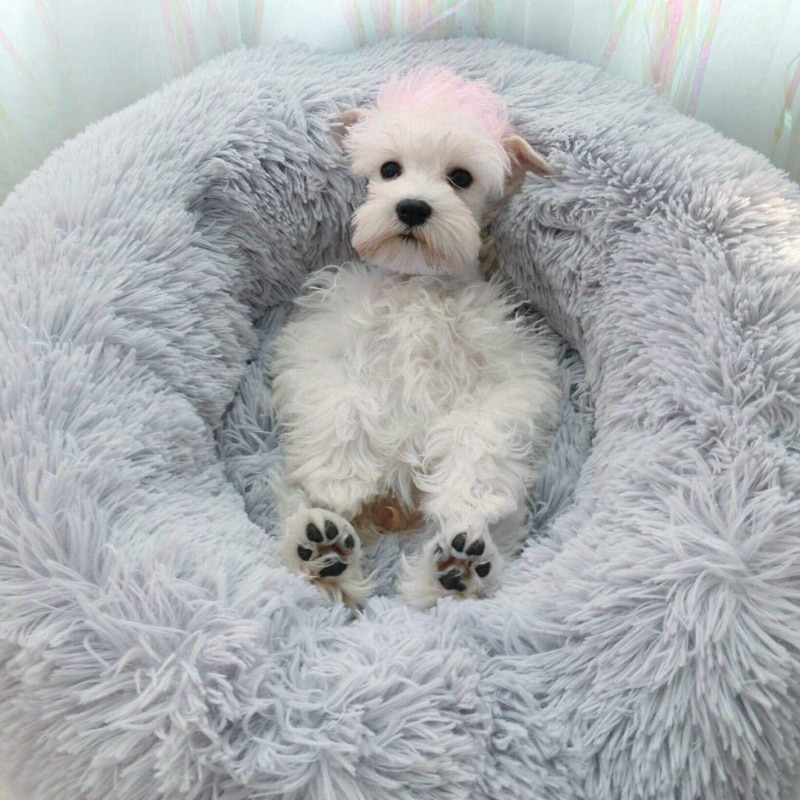 Fluffy Round Dog Bed Plush Cushion