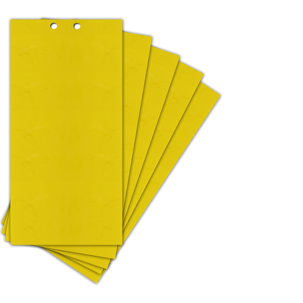 Fly Sticky Trap Double-Sided (5pcs)