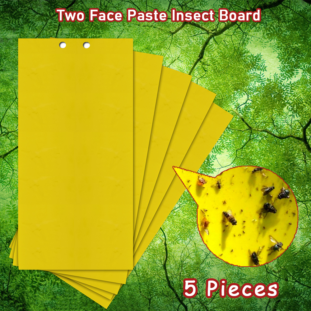 Fly Sticky Trap Double-Sided (5pcs)