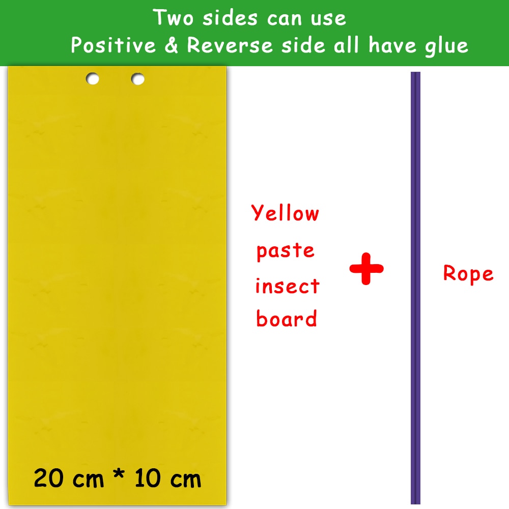 Fly Sticky Trap Double-Sided (5pcs)