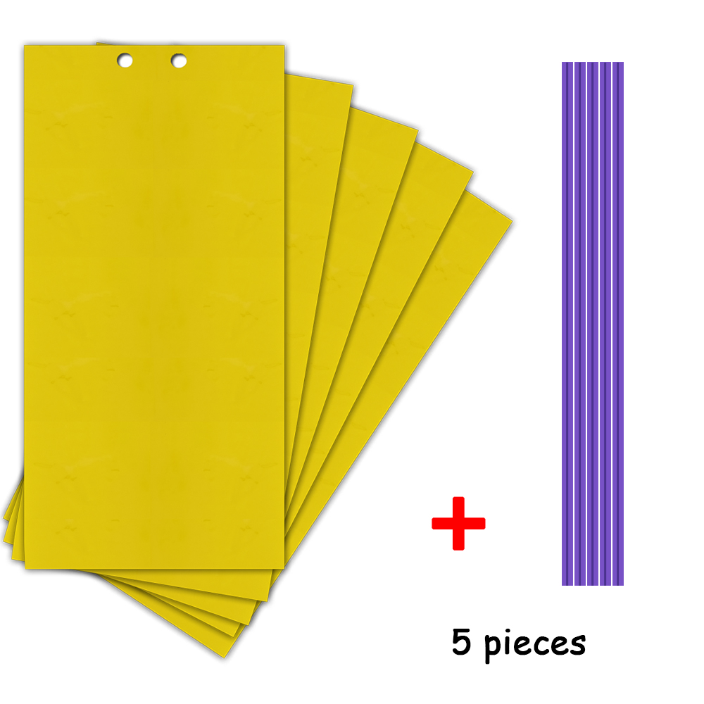 Fly Sticky Trap Double-Sided (5pcs)