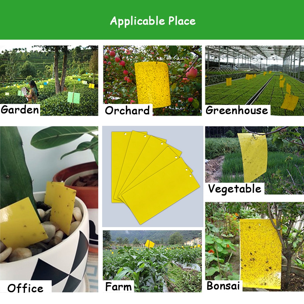 Fly Sticky Trap Double-Sided (5pcs)