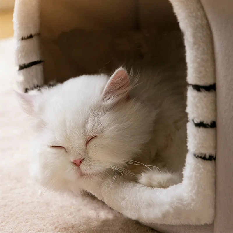 Foldable Cat House Winter Warm Chihuahua Cave Bed Cat Basket for Small Dogs Warm Soft Cat Bed Mat Kennel Puppy House Foldable Cat House Winter Warm Chihuahua Cave Bed Cat Basket for Small Dogs Warm Soft Cat Bed Mat Kennel Puppy House