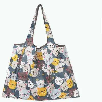 Foldable Large Reusable Shopping Bag