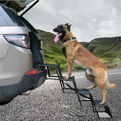 Foldable Metal Dog Car Stairs
