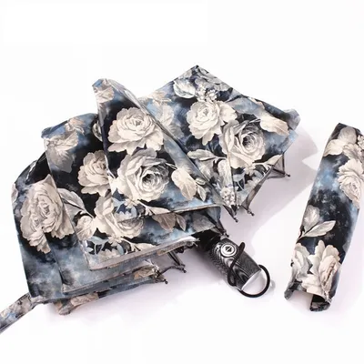 Folding Umbrella Stylish Brolly Folding Umbrella Stylish Brolly