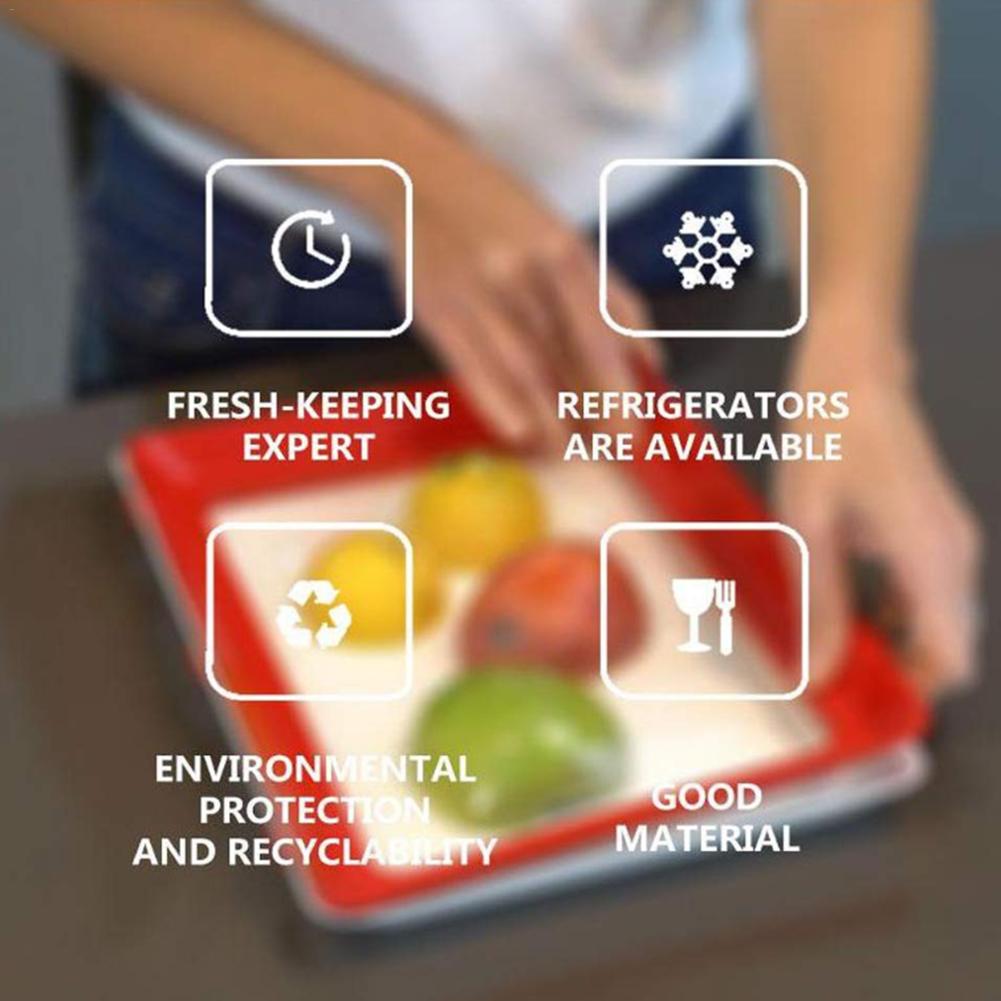 Food Preservation Tray Storage Container Food Preservation Tray Storage Container