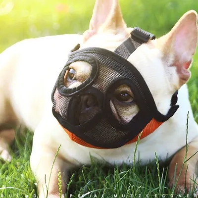French Bulldog Muzzle Breathable Mouth Cover French Bulldog Muzzle Breathable Mouth Cover