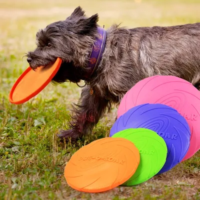 Frisbee Dog Toy Pet Flying Disc Frisbee Dog Toy Pet Flying Disc