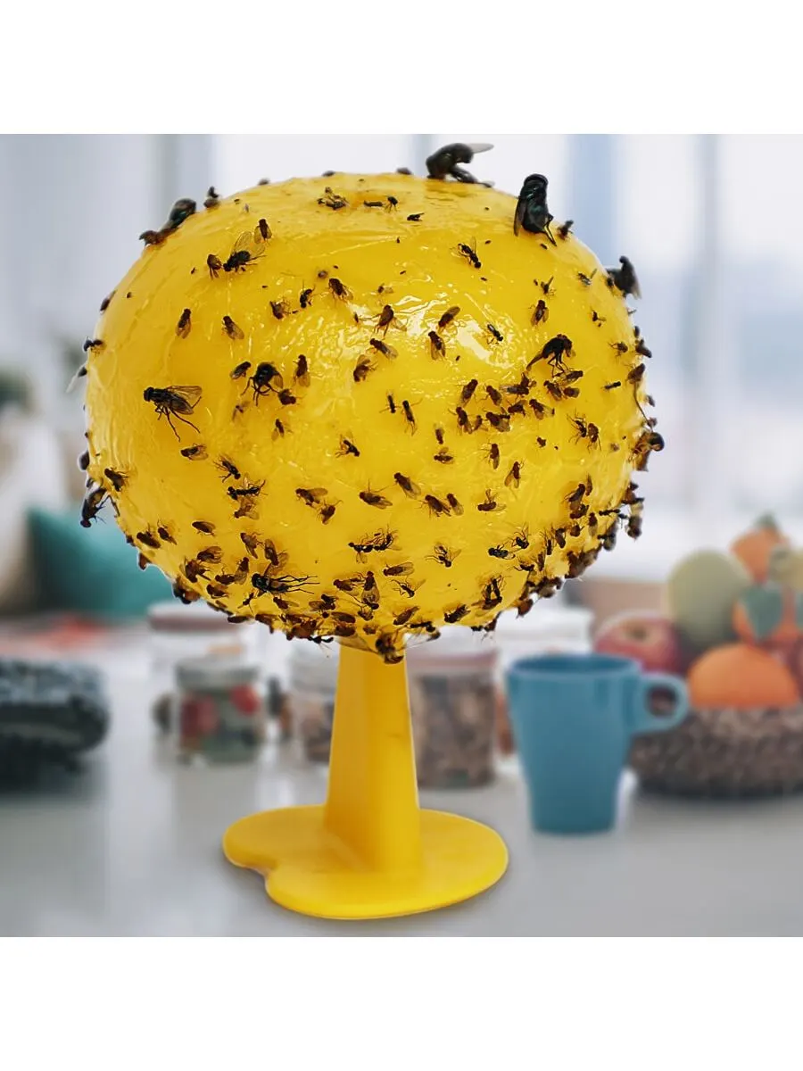 Fruit Fly Trap and Catcher Sticky Sphere with Hanging Chain Adhesive Flexboard Great For Citrus Fruit Fly Hoverfly Gnat