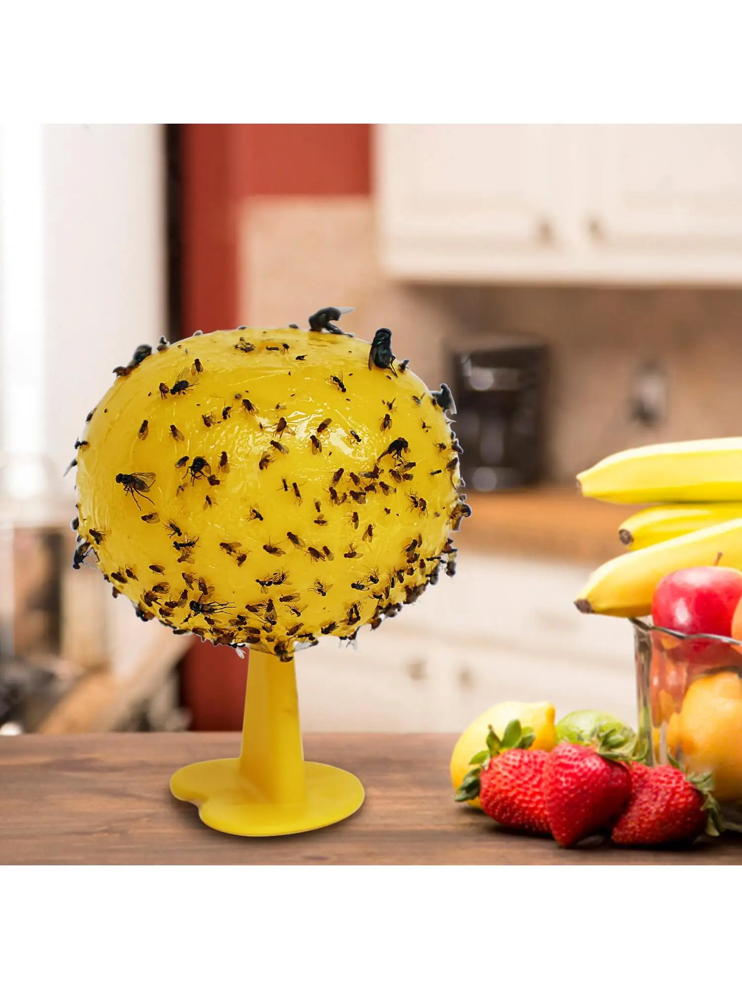 Fruit Fly Trap and Catcher Sticky Sphere with Hanging Chain Adhesive Flexboard Great For Citrus Fruit Fly Hoverfly Gnat Fruit Fly Trap and Catcher Sticky Sphere with Hanging Chain Adhesive Flexboard Great For Citrus Fruit Fly Hoverfly Gnat