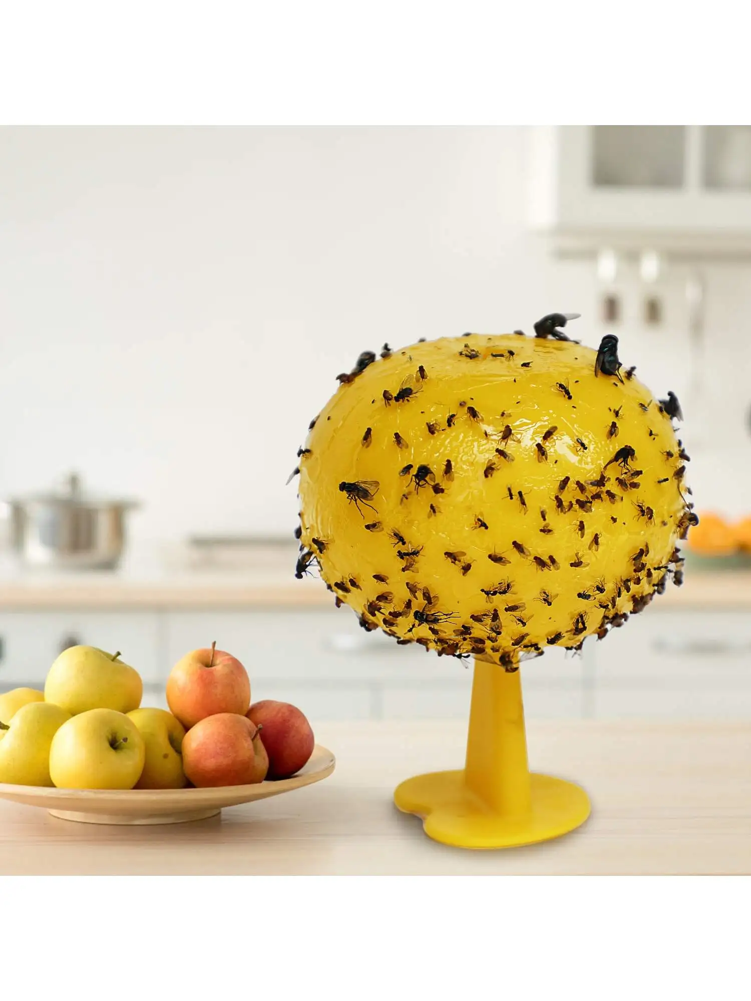 Fruit Fly Trap and Catcher Sticky Sphere with Hanging Chain Adhesive Flexboard Great For Citrus Fruit Fly Hoverfly Gnat Fruit Fly Trap and Catcher Sticky Sphere with Hanging Chain Adhesive Flexboard Great For Citrus Fruit Fly Hoverfly Gnat
