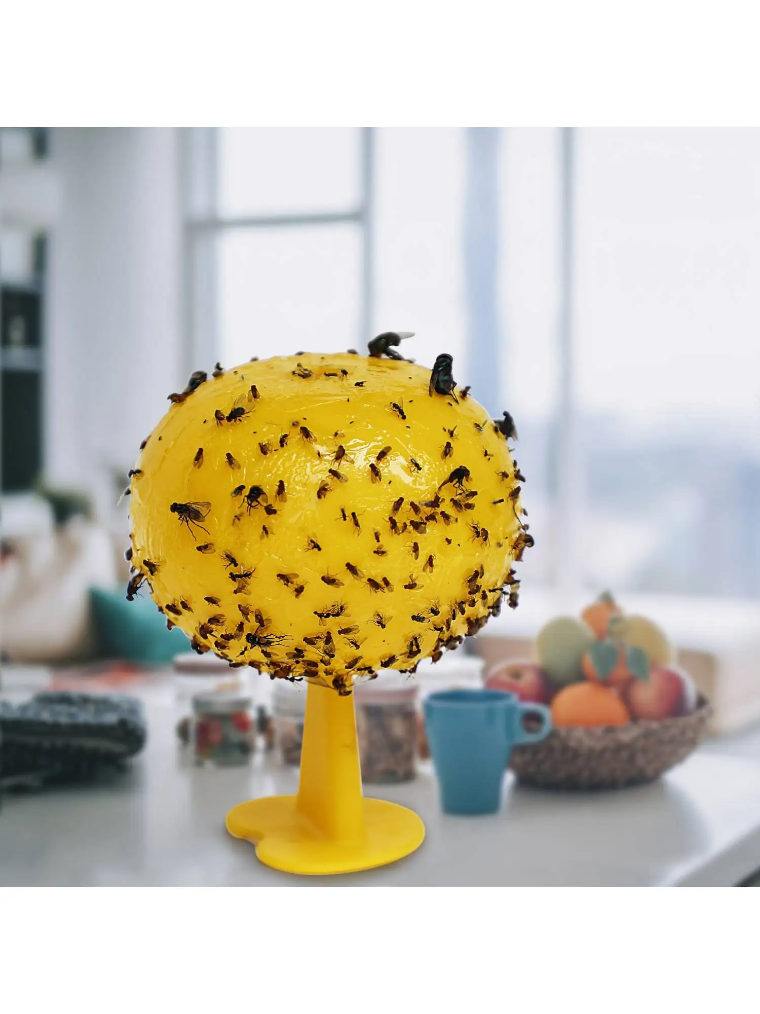 Fruit Fly Trap and Catcher Sticky Sphere with Hanging Chain Adhesive Flexboard Great For Citrus Fruit Fly Hoverfly Gnat Fruit Fly Trap and Catcher Sticky Sphere with Hanging Chain Adhesive Flexboard Great For Citrus Fruit Fly Hoverfly Gnat