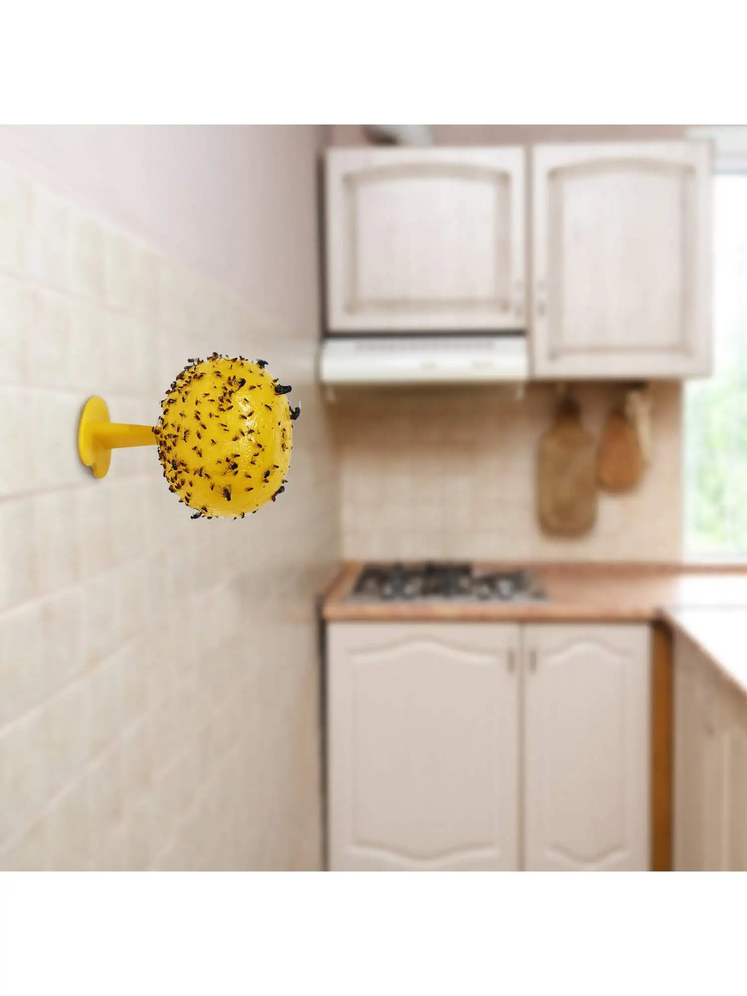 Fruit Fly Trap and Catcher Sticky Sphere with Hanging Chain Adhesive Flexboard Great For Citrus Fruit Fly Hoverfly Gnat Fruit Fly Trap and Catcher Sticky Sphere with Hanging Chain Adhesive Flexboard Great For Citrus Fruit Fly Hoverfly Gnat