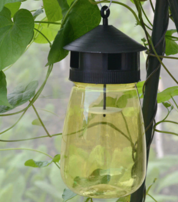 Fruit Fly Trap Hanging Bottle