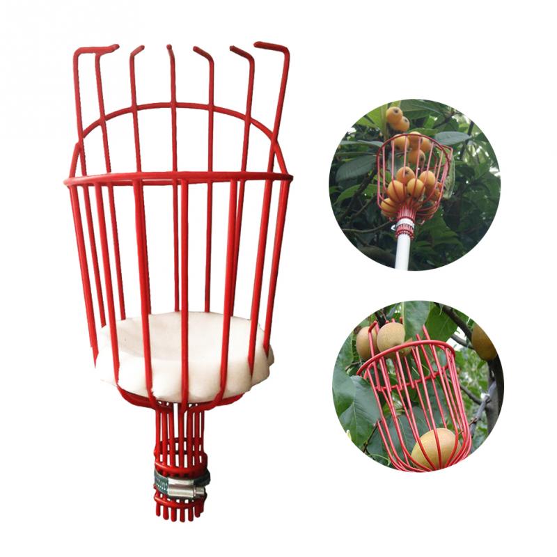 Fruit Picker Tool Gardening Equipment