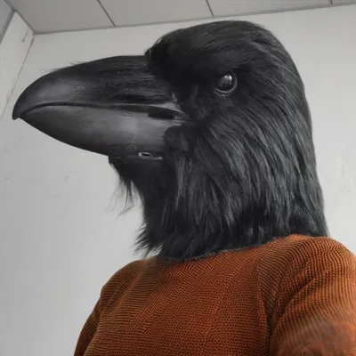 Funny Bird Mask Black Latex Cosplay Crow Masks Horror Beak Adult Halloween Cosplay Prop Fancy Dress Toys Masquerade Funny Bird Mask Black Latex Cosplay Crow Masks Horror Beak Adult Halloween Cosplay Prop Fancy Dress Toys Masquerade