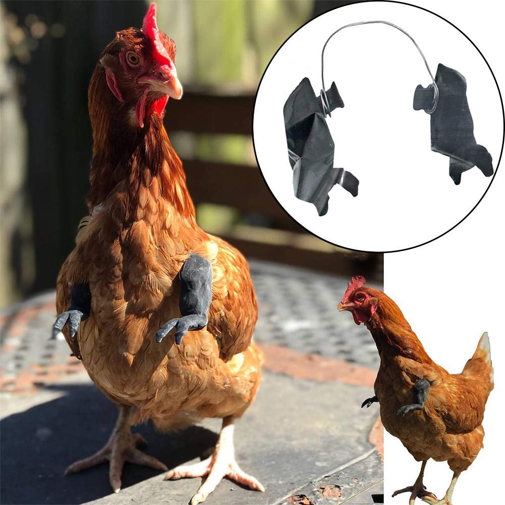 Funny Chicken Muscle Arms Accessory