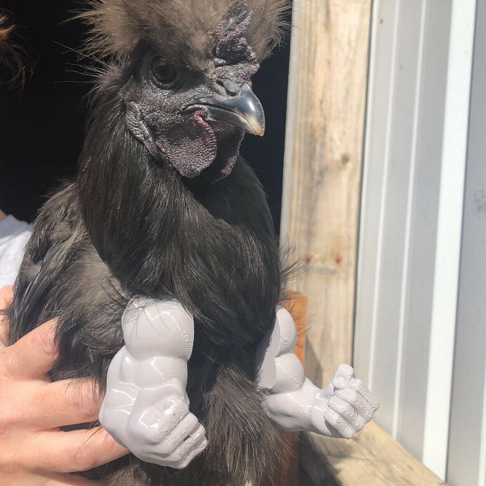 Funny Chicken Muscle Arms Accessory