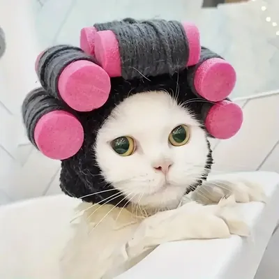 Funny Curly Pet Hat Suitable for Cats and Dogs Adjustable Perfect for Halloween and Christmas