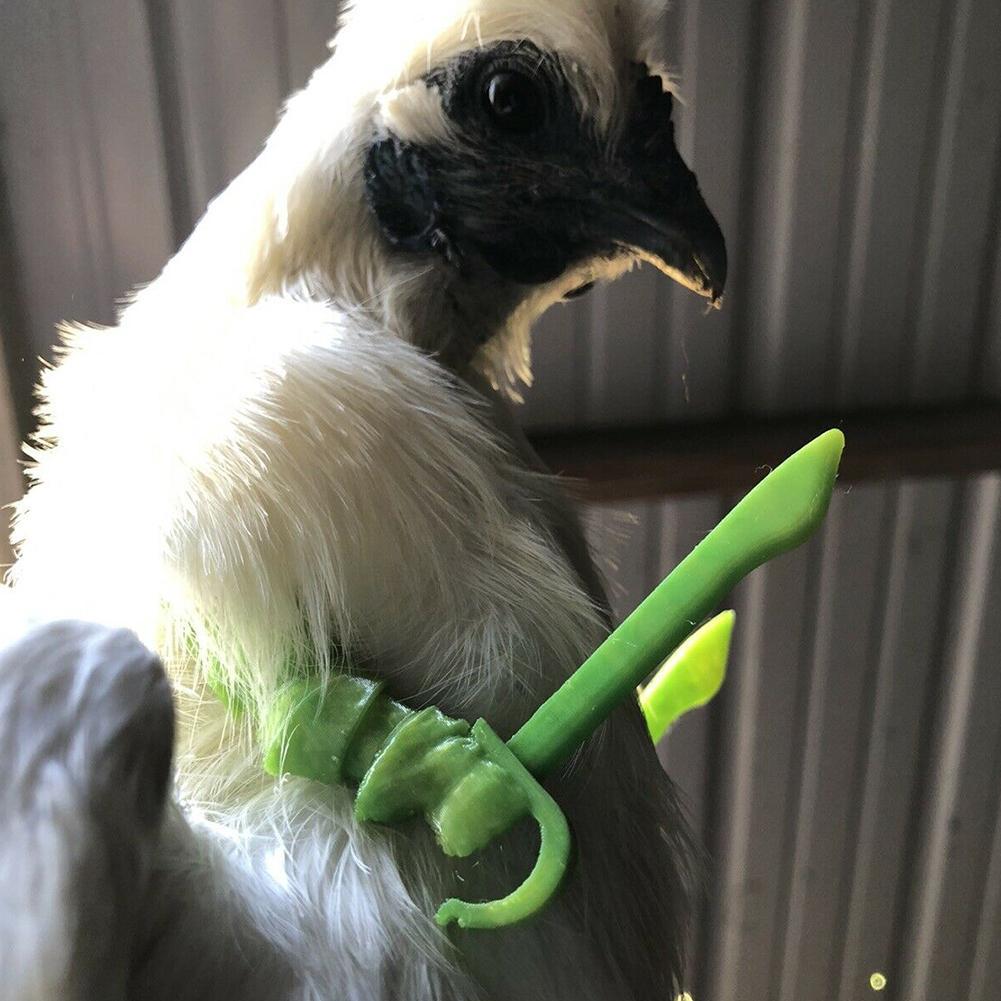 Funny Muscle Fake Arms for Chickens Funny Muscle Fake Arms for Chickens