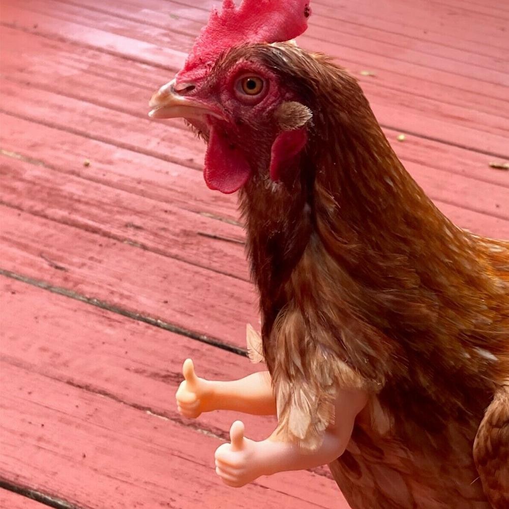 Funny Muscle Fake Arms for Chickens Funny Muscle Fake Arms for Chickens