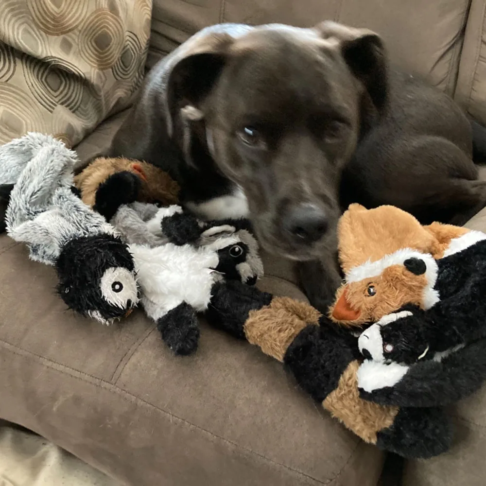 Funny Simulated Animal No Stuffing Dog Toy with Squeakers Durable Stuffingless Plush Squeaky Dog Chew Toy Crinkle Pet Funny Simulated Animal No Stuffing Dog Toy with Squeakers Durable Stuffingless Plush Squeaky Dog Chew Toy Crinkle Pet