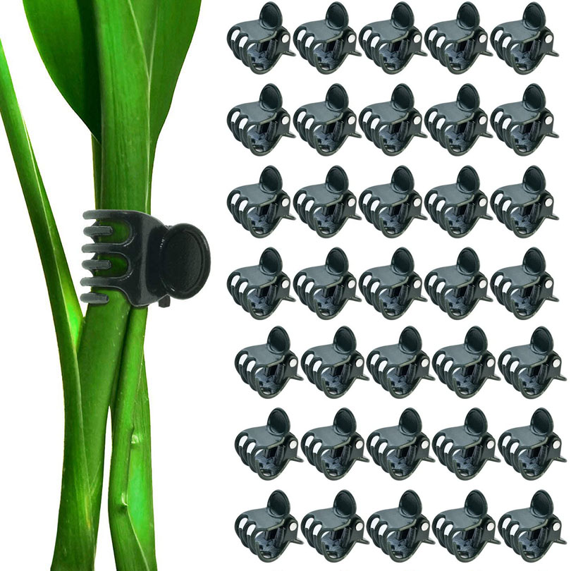 Garden Plant Clips (100pcs)