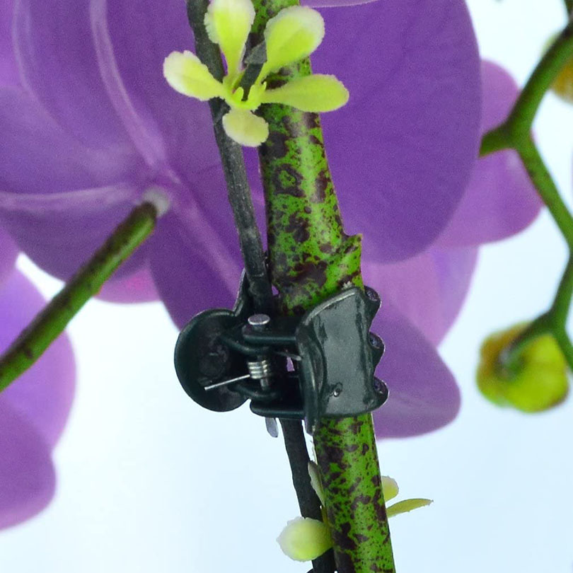 Garden Plant Clips (100pcs) Garden Plant Clips (100pcs)