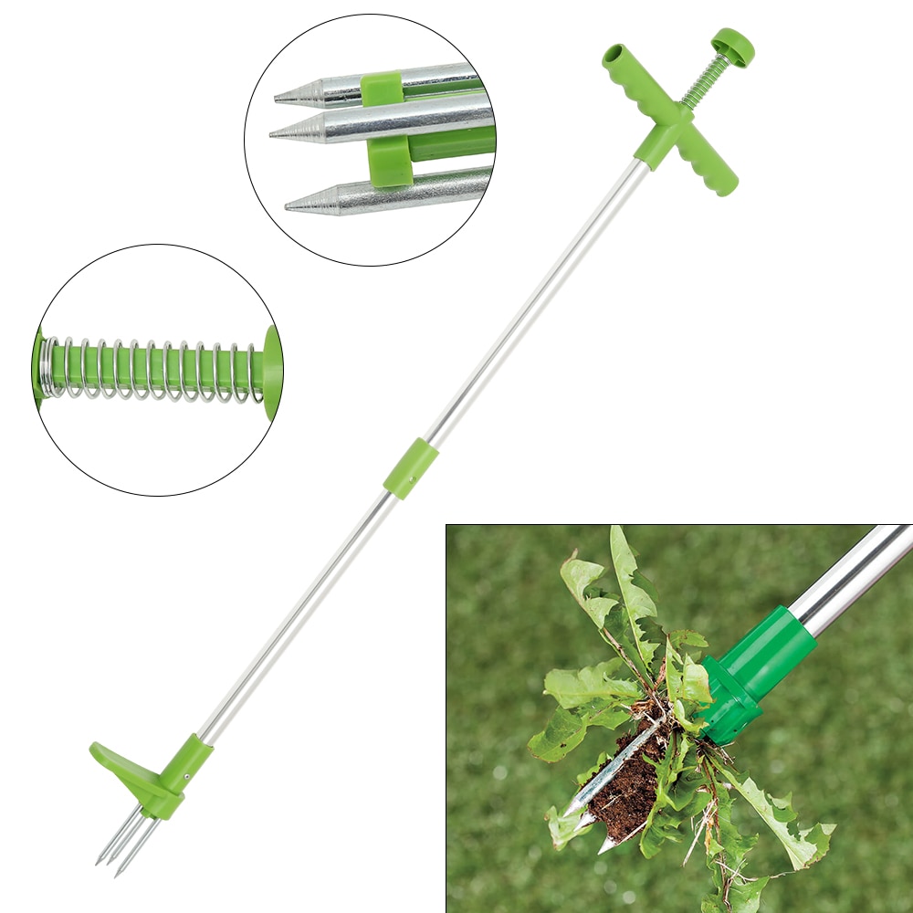 Garden Standing Plant Root Remover
