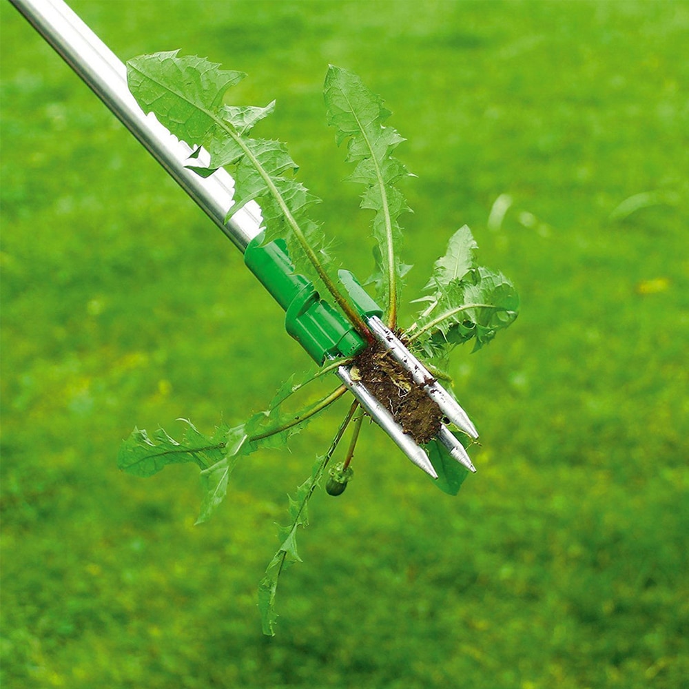 Garden Standing Plant Root Remover