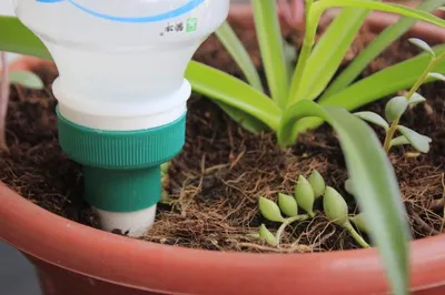 Garden Watering Drip Irrigation System For Flower Pots Garden Watering Drip Irrigation System For Flower Pots