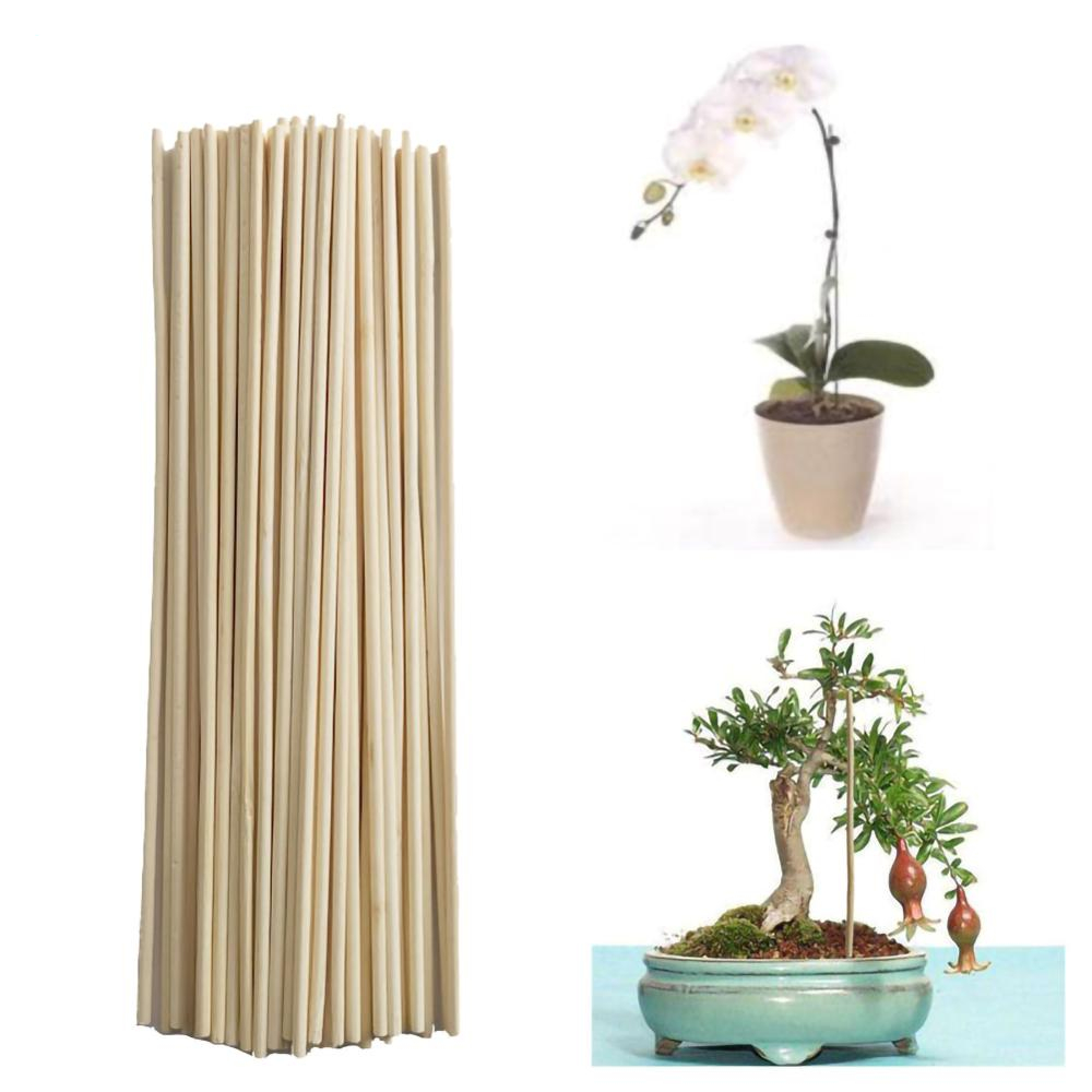 Gardening Bamboo Plant Stakes (50pcs) Gardening Bamboo Plant Stakes (50pcs)