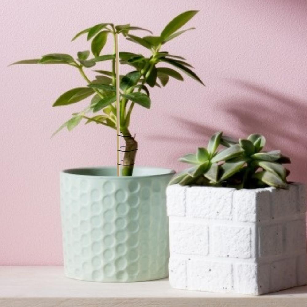 Gardening Bamboo Plant Stakes (50pcs)