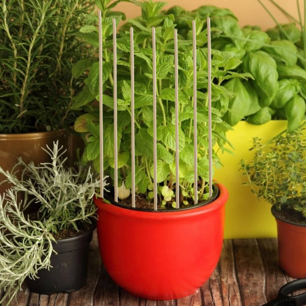 Gardening Bamboo Plant Stakes (50pcs)
