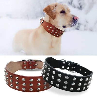 Genuine Leather Dog Collar