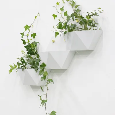 Geometric Plant Pot Wall Mount Planter Geometric Plant Pot Wall Mount Planter