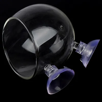 Glass Ball Aquarium Plant Pot Glass Ball Aquarium Plant Pot