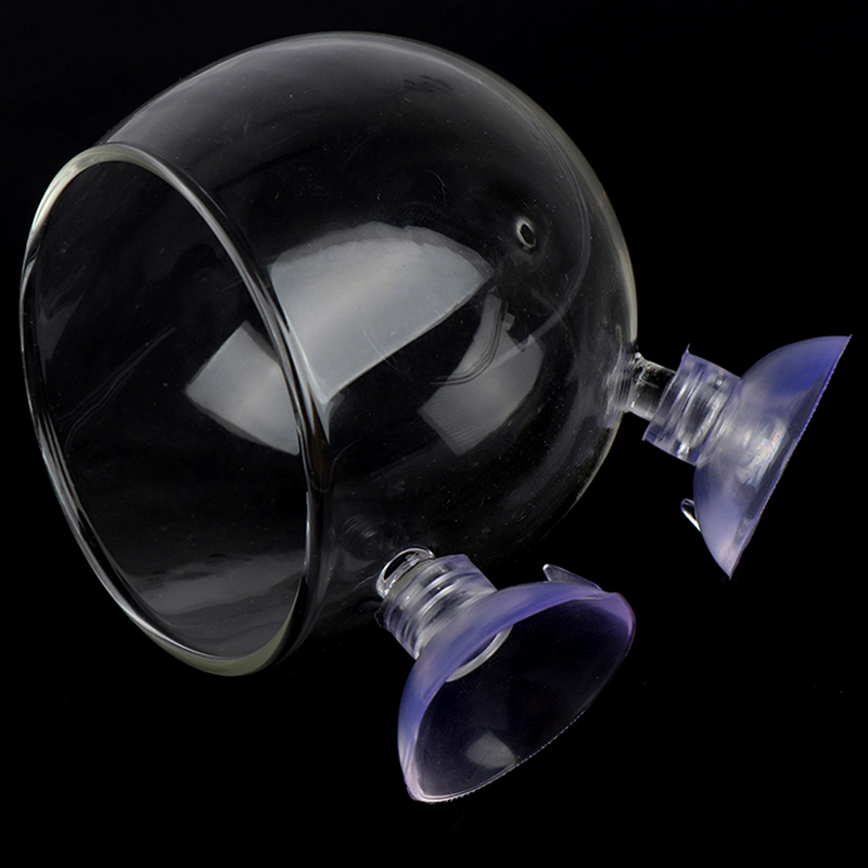 Glass Ball Aquarium Plant Pot Glass Ball Aquarium Plant Pot