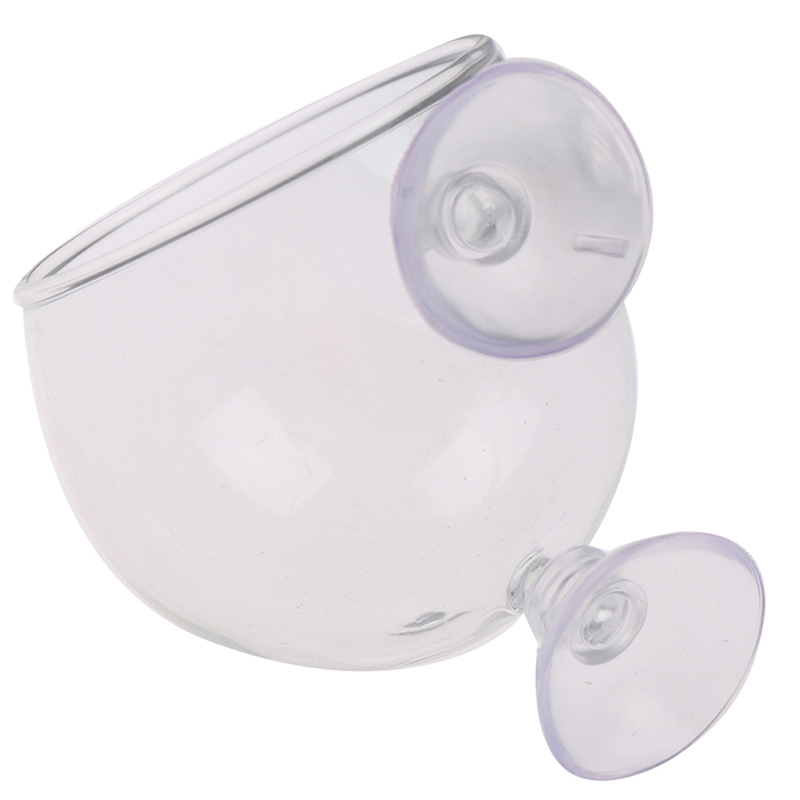 Glass Ball Aquarium Plant Pot Glass Ball Aquarium Plant Pot