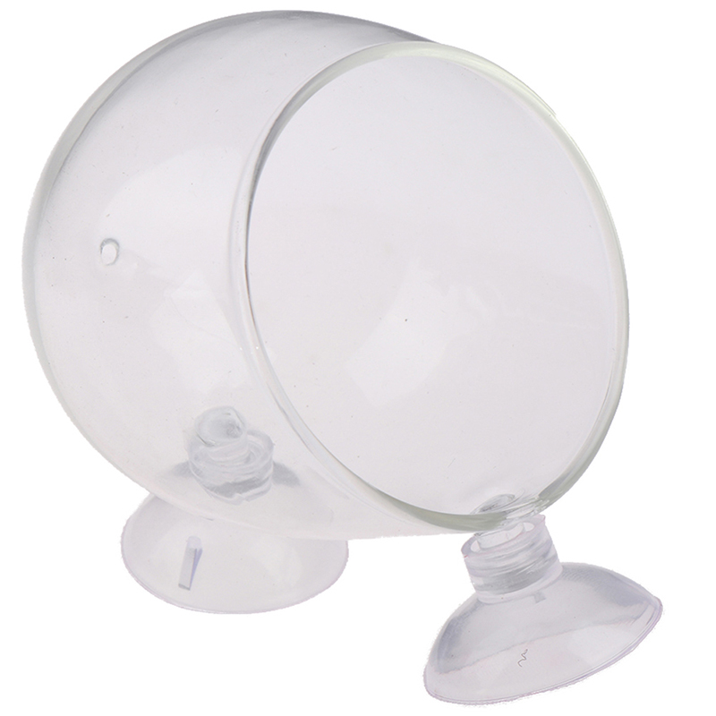 Glass Ball Aquarium Plant Pot Glass Ball Aquarium Plant Pot