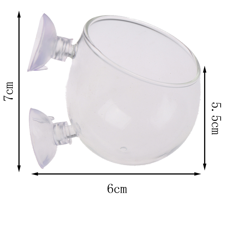 Glass Ball Aquarium Plant Pot Glass Ball Aquarium Plant Pot