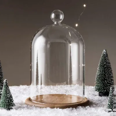 Glass Cloche Jar with Wood Base