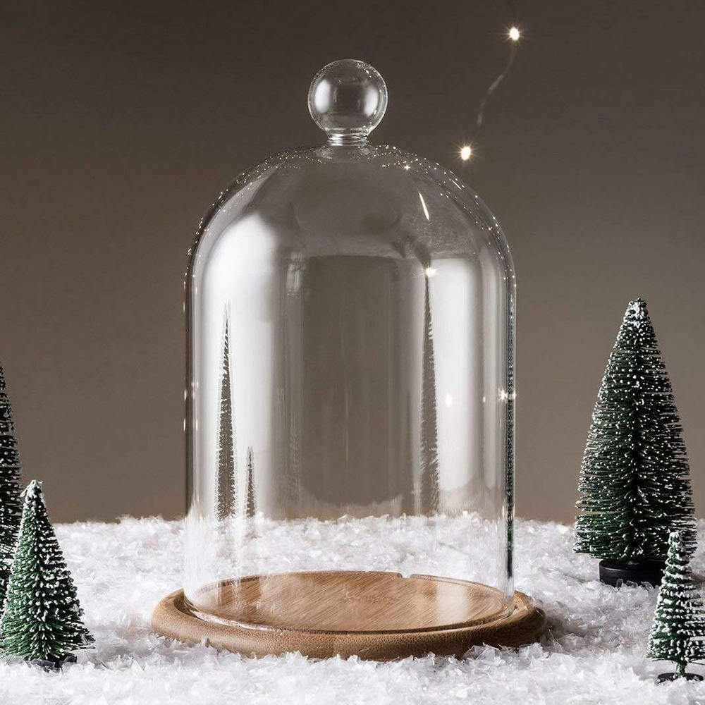 Glass Cloche Jar with Wood Base