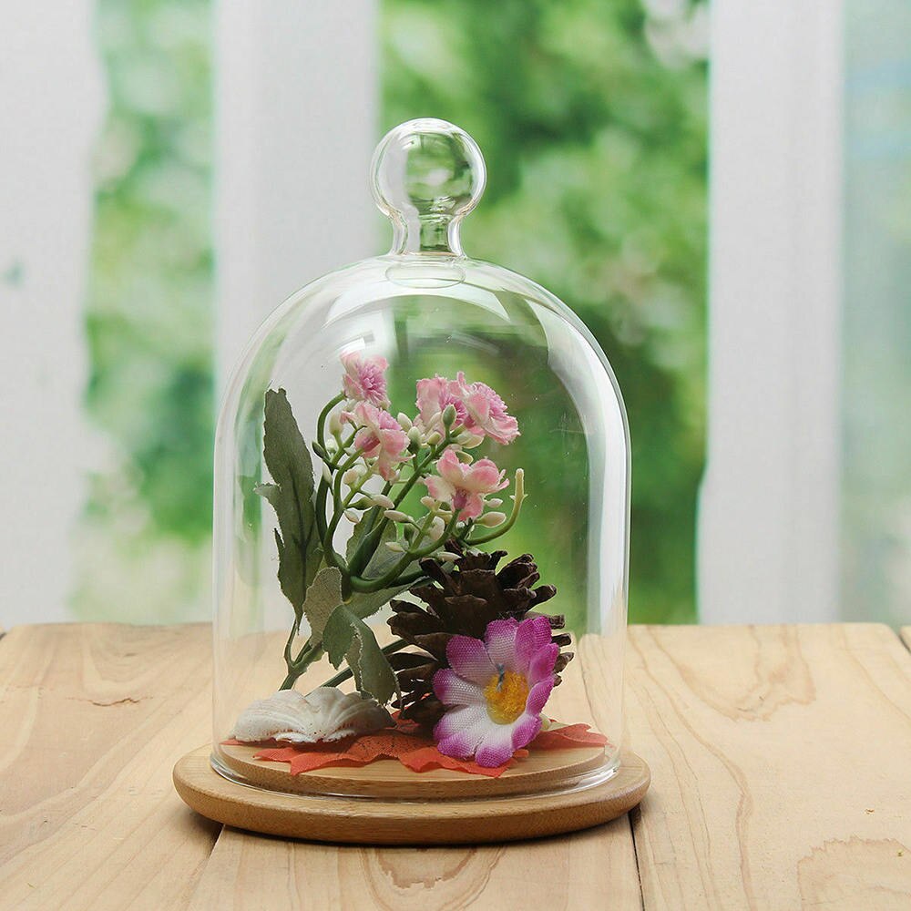 Glass Cloche Jar with Wood Base