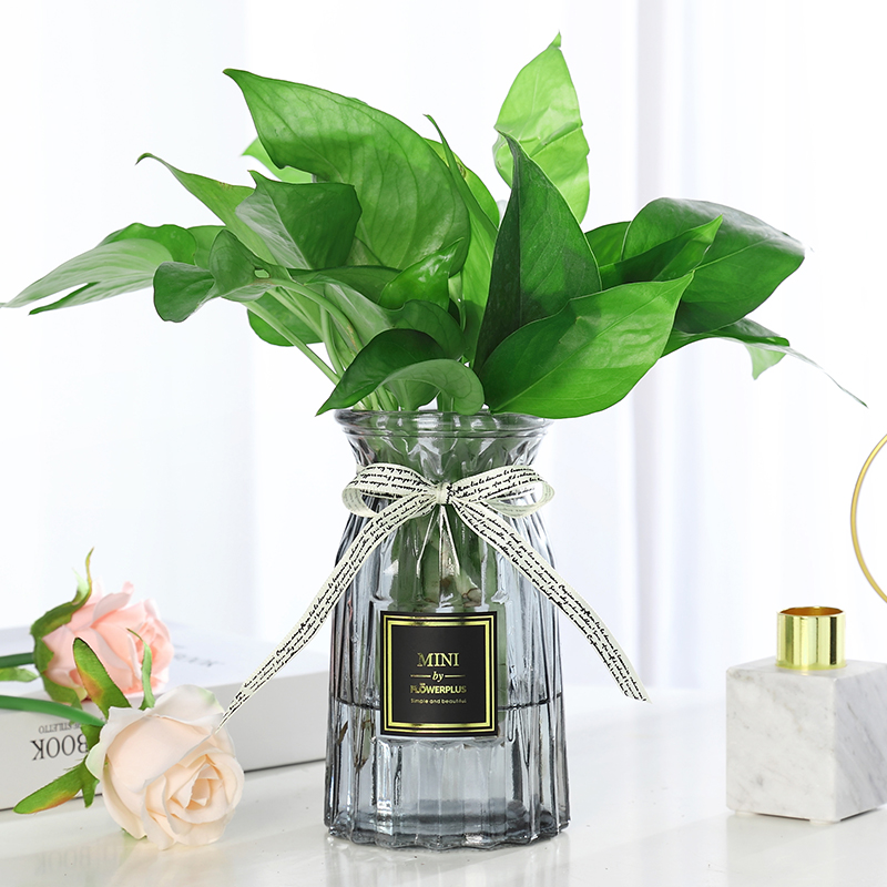Glass Flower Vase Home Decoration
