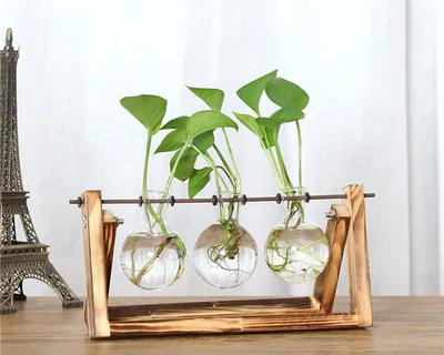 Glass Indoor Plant Pots Home Terrarium