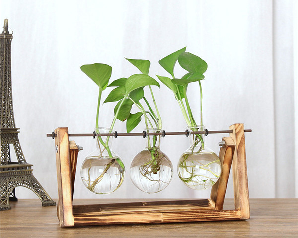 Glass Indoor Plant Pots Home Terrarium